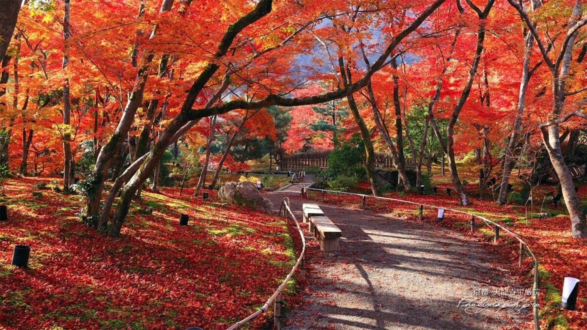 Kyouhatago Yamano - Vacation 93295v Holiday home