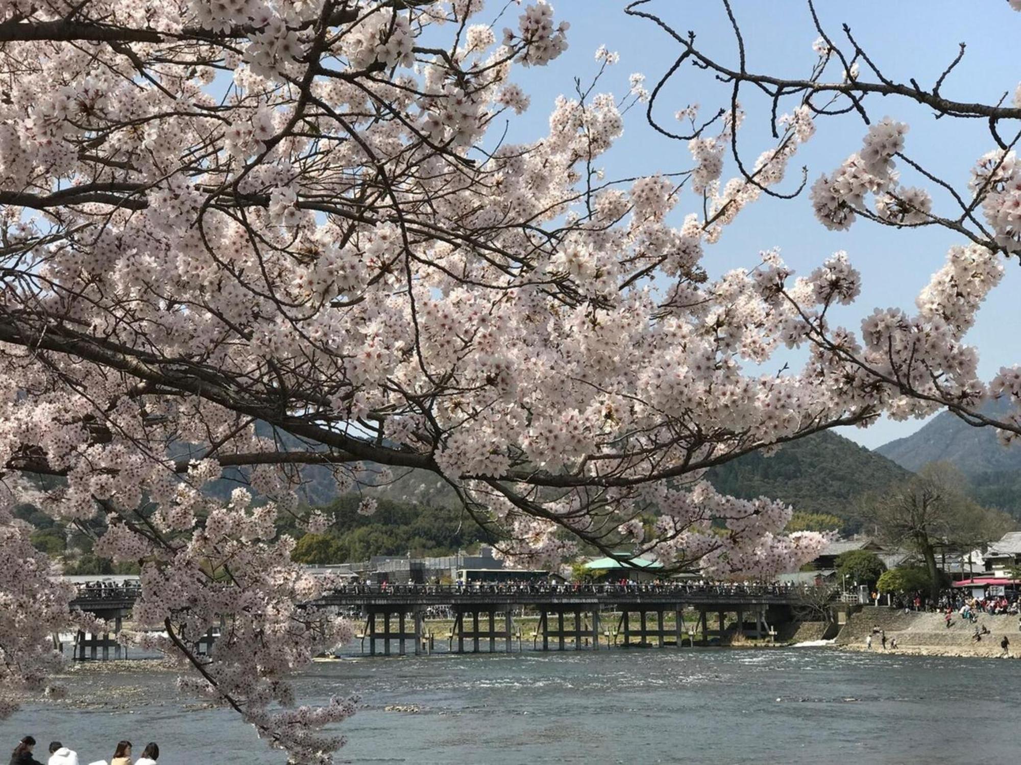 Kyouhatago Yamano - Vacation 93295v *