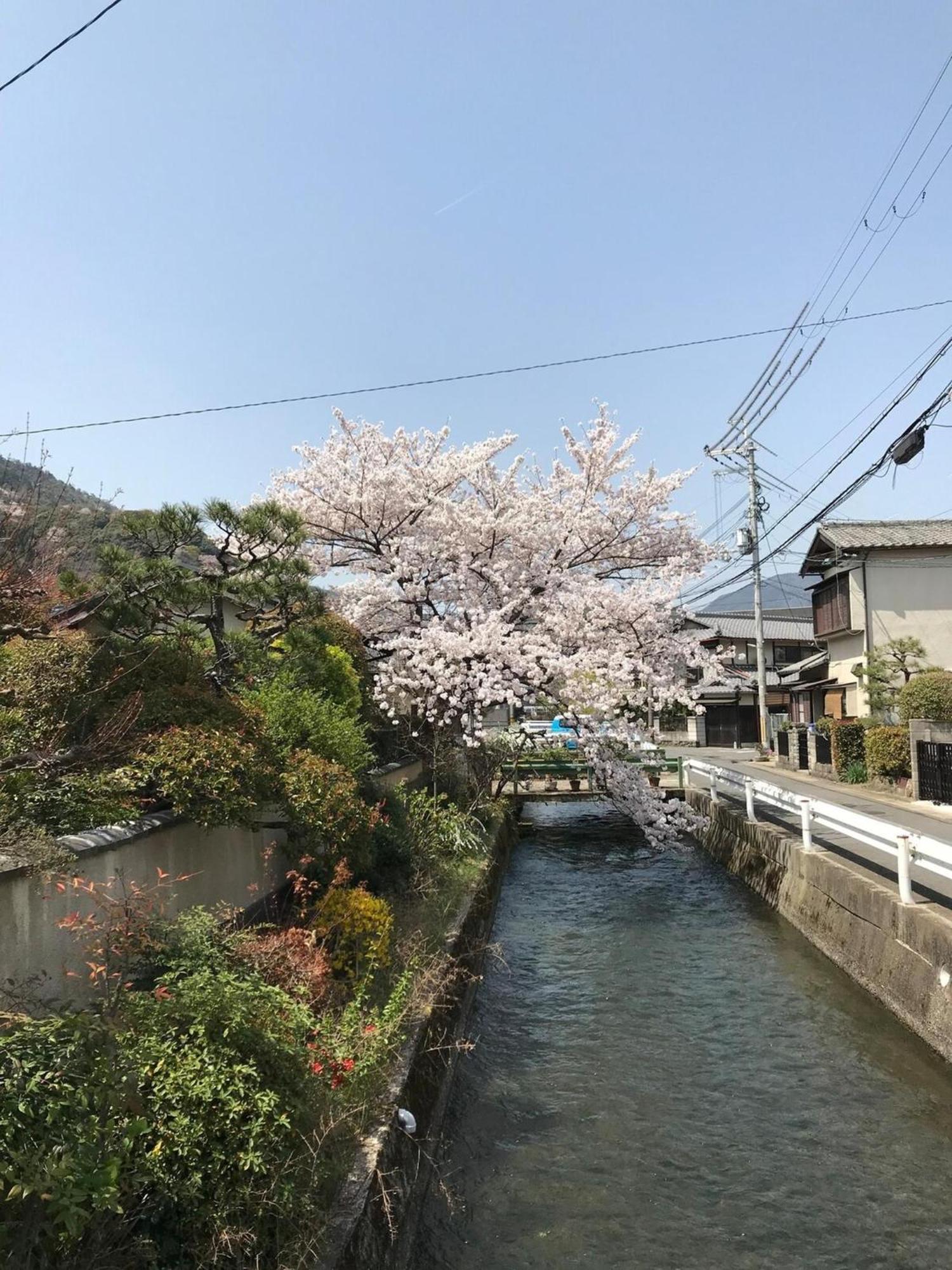 Kyouhatago Yamano - Vacation 93295v * Kyoto